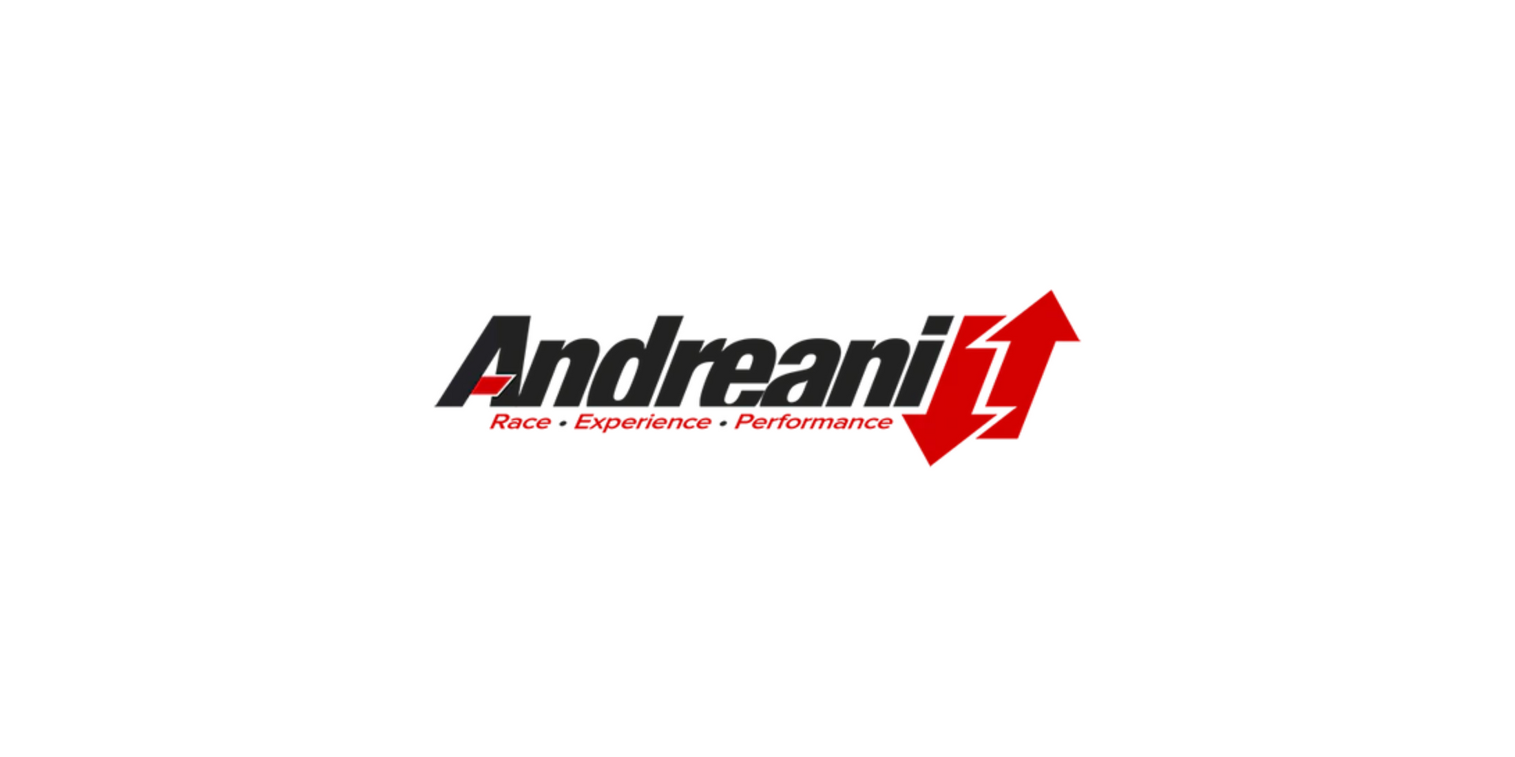 Andreani group