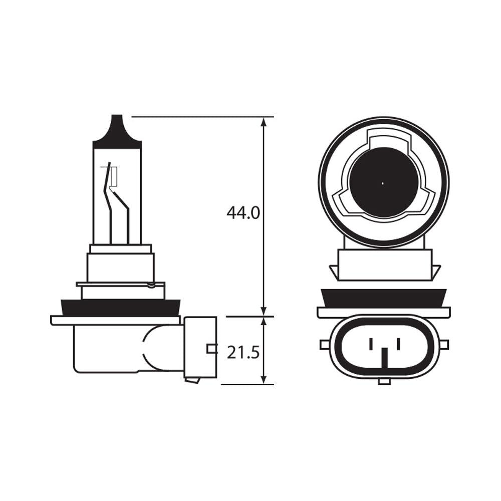 BULB - HALOGEN 12V 55W - H11 - PGJ19-2 1