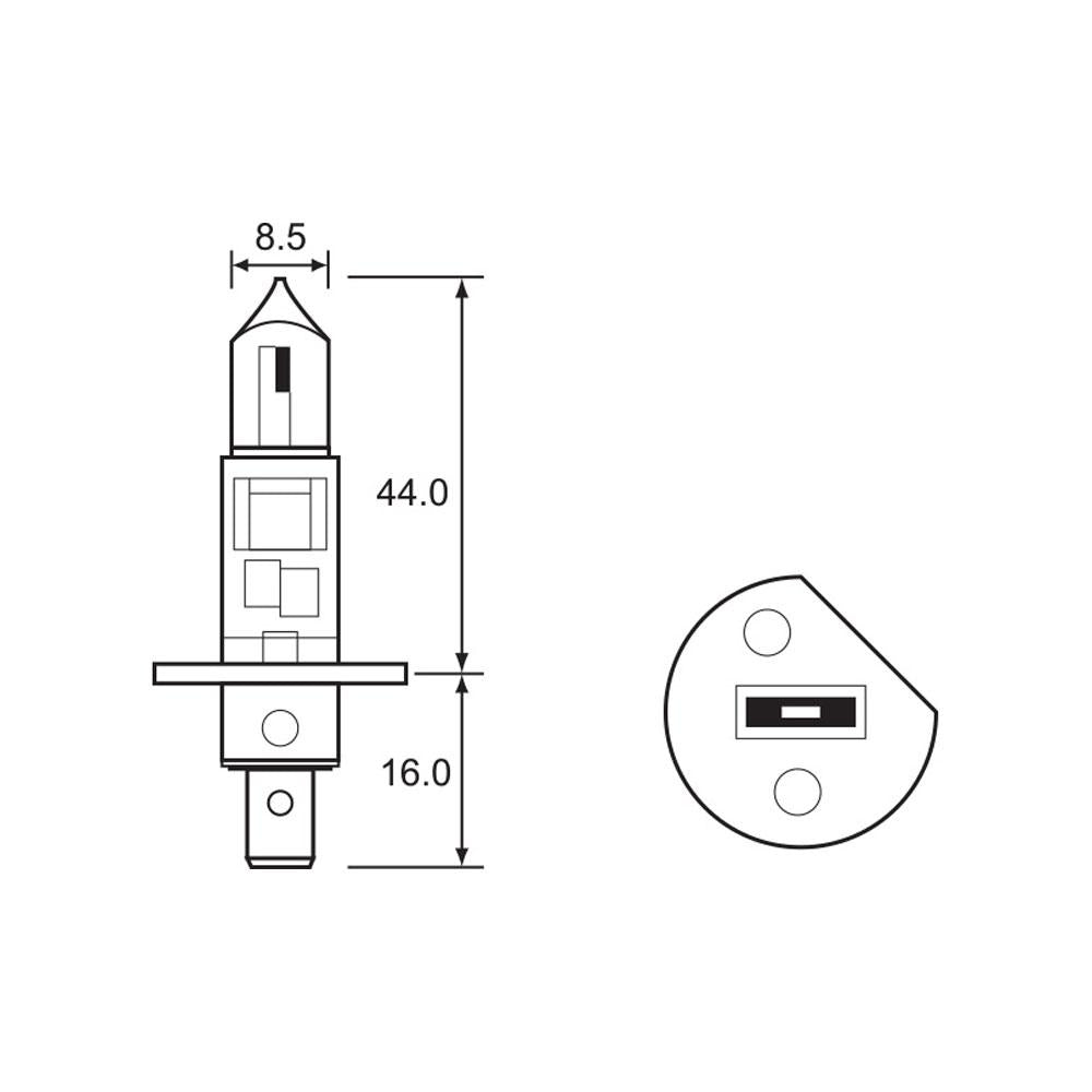 BULB - HALOGEN 12V 55W - H1 - P14.5S 1