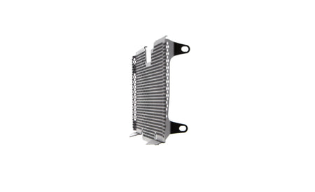 Evotech Radiator Guard - BMW R 1250 RS (2022+) - 6, PRN012256-07