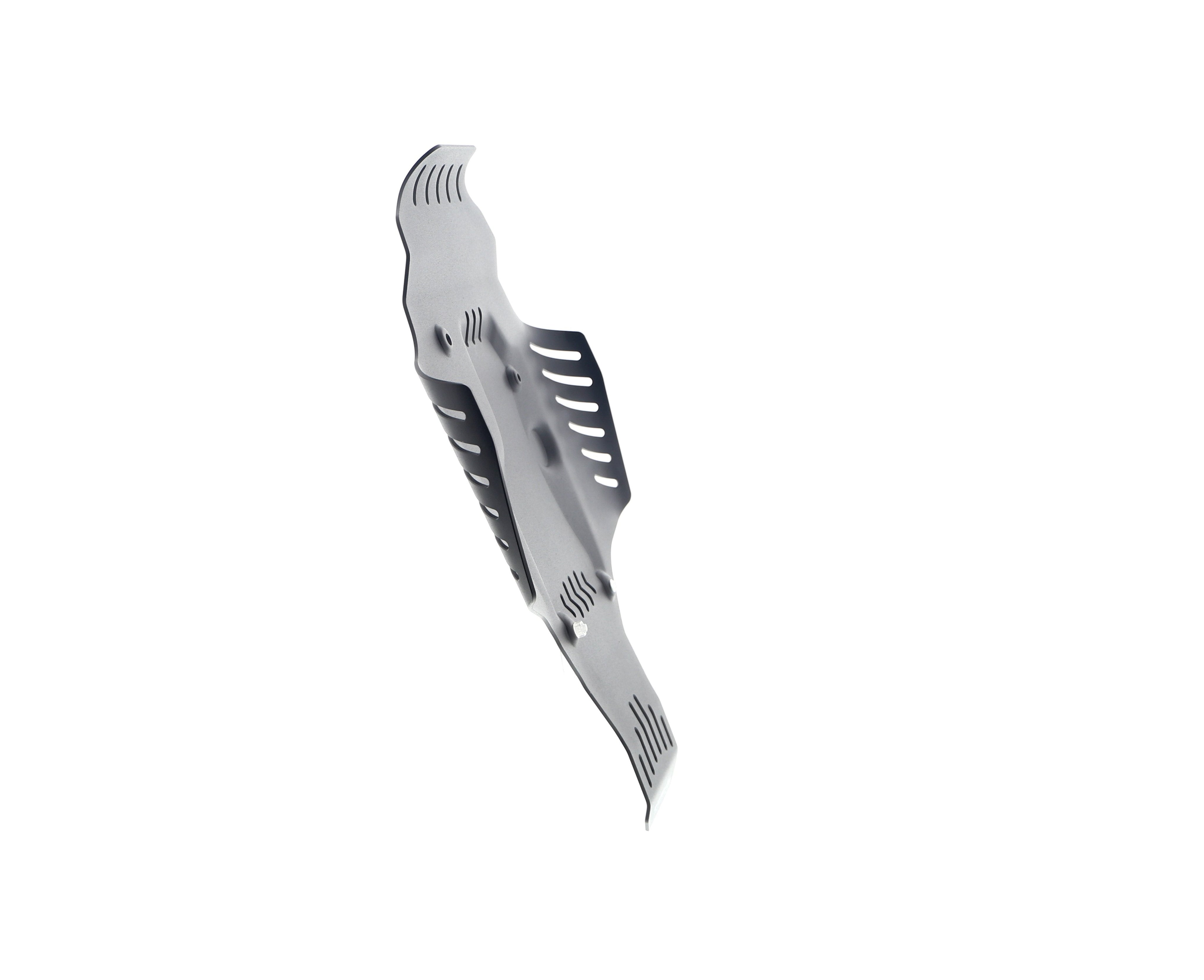 Evotech BMW R nineT Engine Guard (2017+) - 10, PRN014226-06