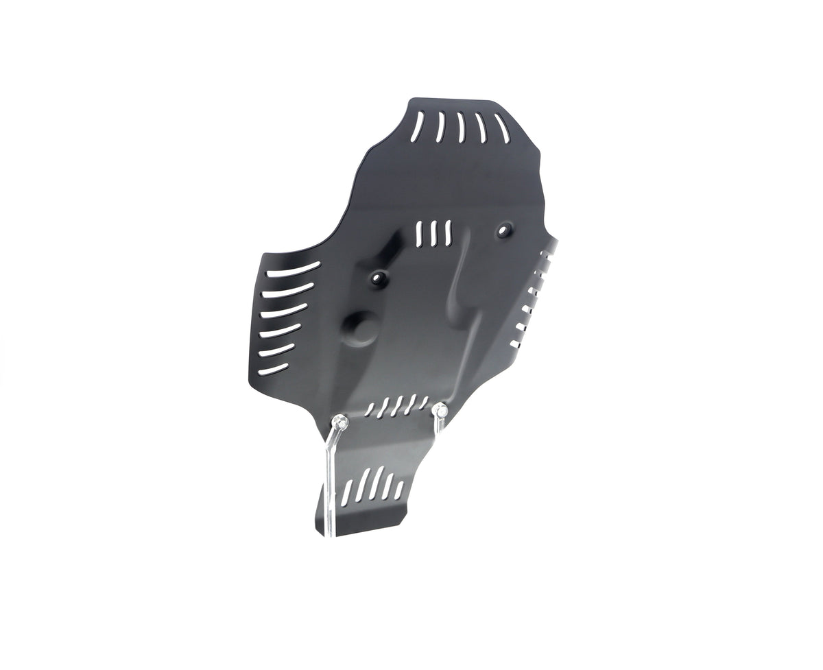 Evotech BMW R nineT Engine Guard (2017+) - 25, PRN014226-06
