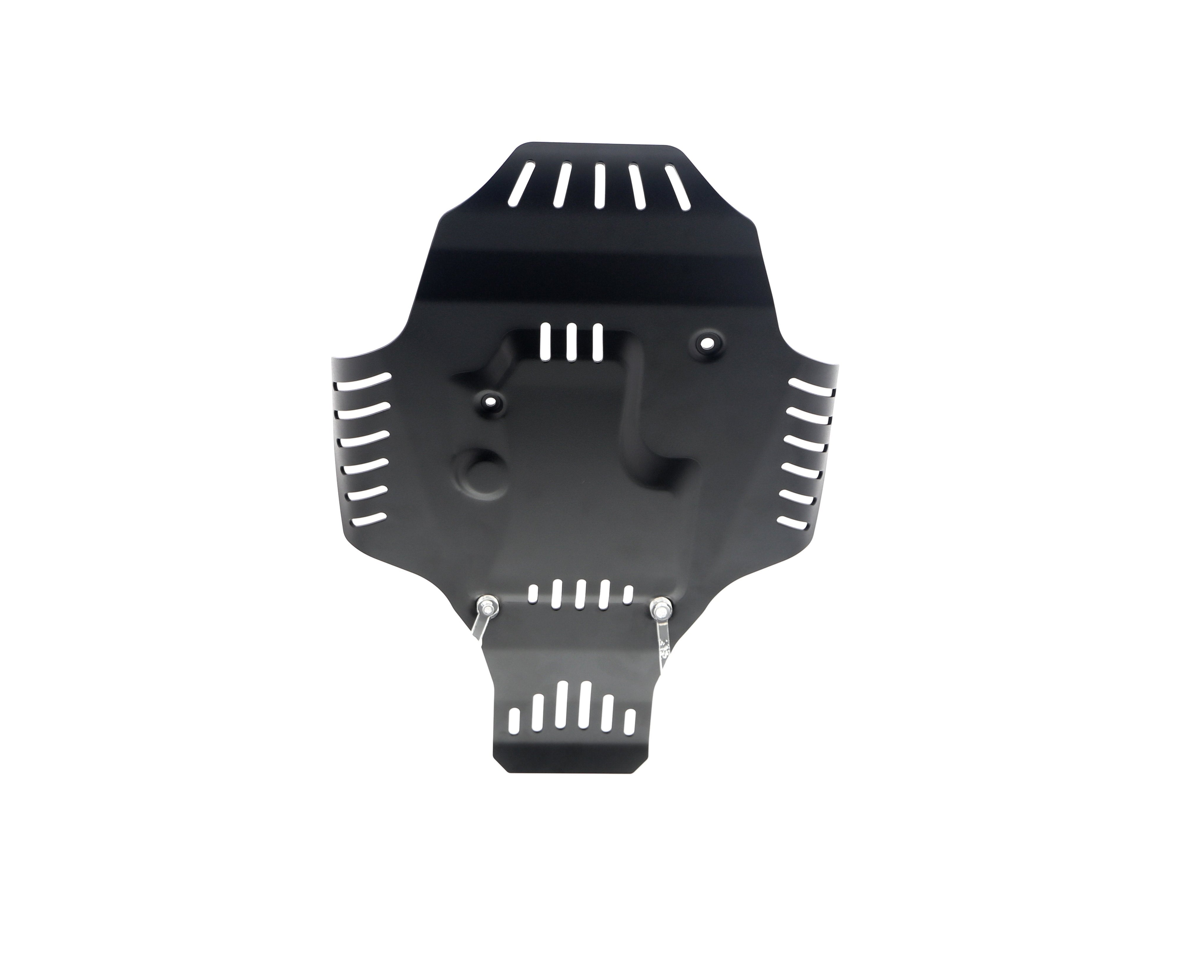 Evotech BMW R nineT Pure Racer Engine Guard (2017+) - 24, PRN014226-04