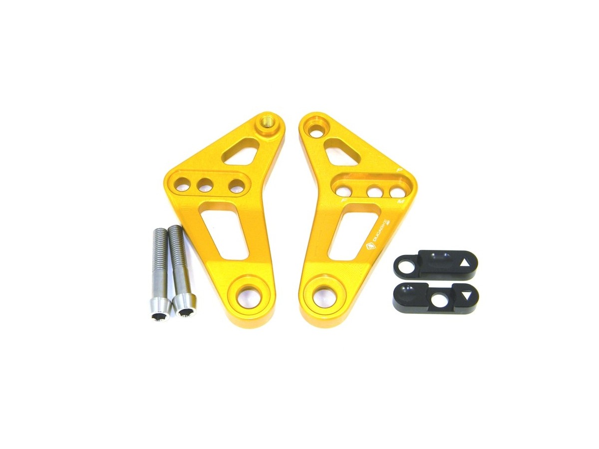 BSP01 - REAR LINK SUSPENSION PANIGALE - DBK Special Parts - 23