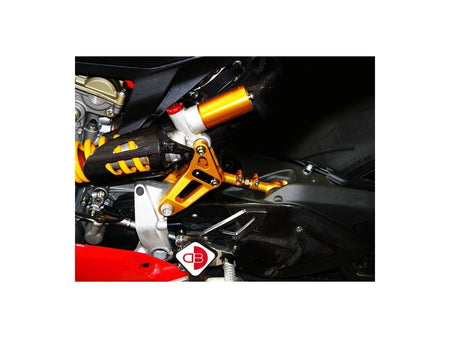 BSP01 - REAR LINK SUSPENSION PANIGALE - DBK Special Parts - 25