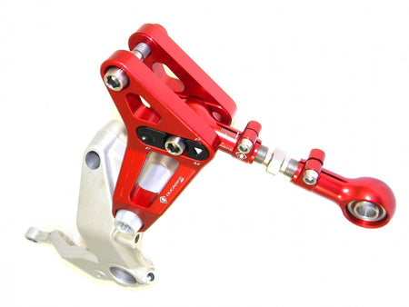BSP01 - REAR LINK SUSPENSION PANIGALE - DBK Special Parts - 9