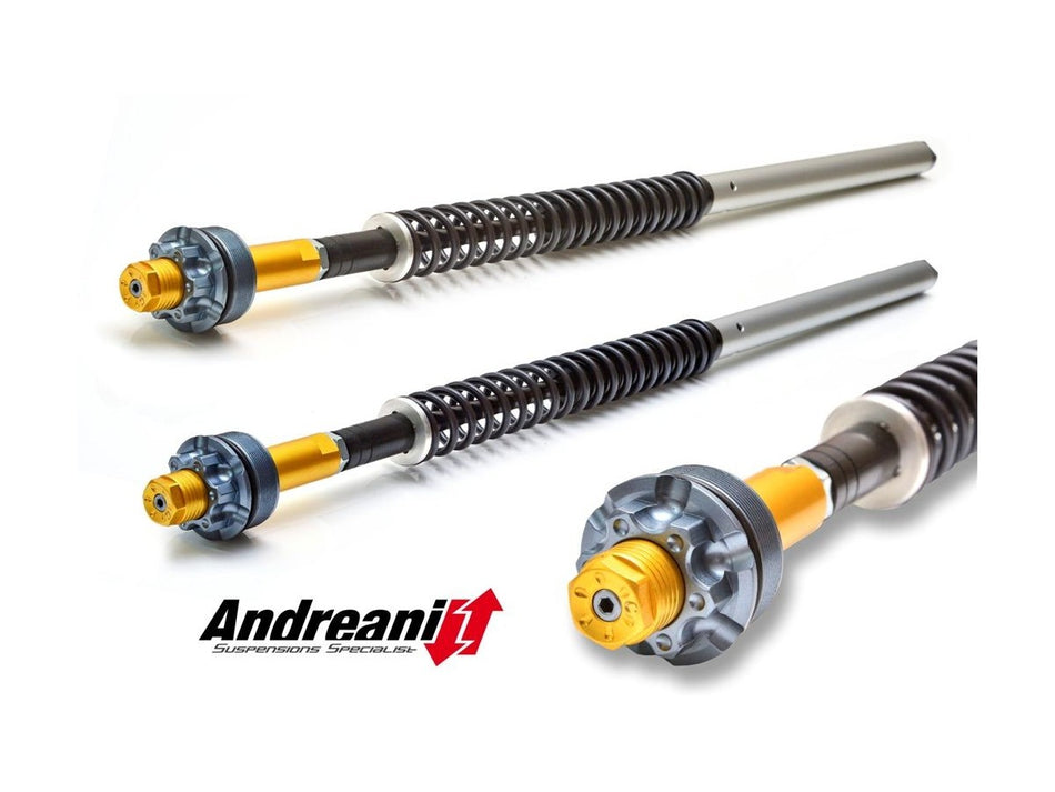 CFD105/D08 - HYPERSTRADA 821 ADJ. CARTRIDGE KIT - Andreani - 1