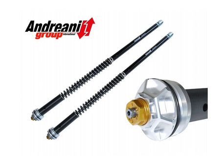 CFD310/H03E - HONDA XADV 2017-22 ADJ. CARTRIDGE KIT - Andreani - 1