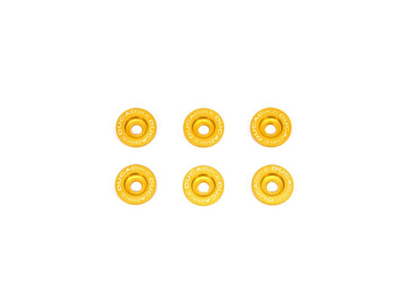 6P01 - KIT CLUTH SPRING CAPS - DBK Special Parts - 3