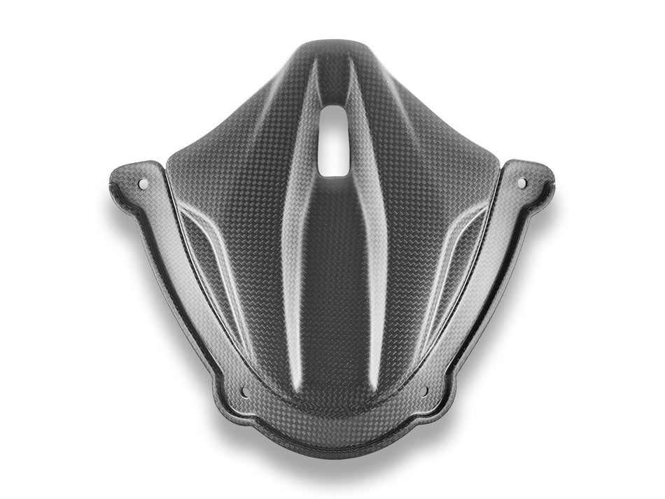 CRB214O - PANIGALE V4 MY25 CARBON INSTRUMENT COVER - DBK Special Parts - 2