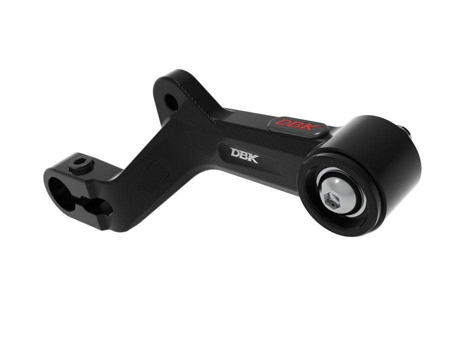 Ducati Hypermotard 698 Mono Gear Lever - DBK Special Parts - RPLC31D