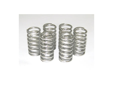6M01 - KIT CLUTCH SPRINGS - DBK Special Parts - 11