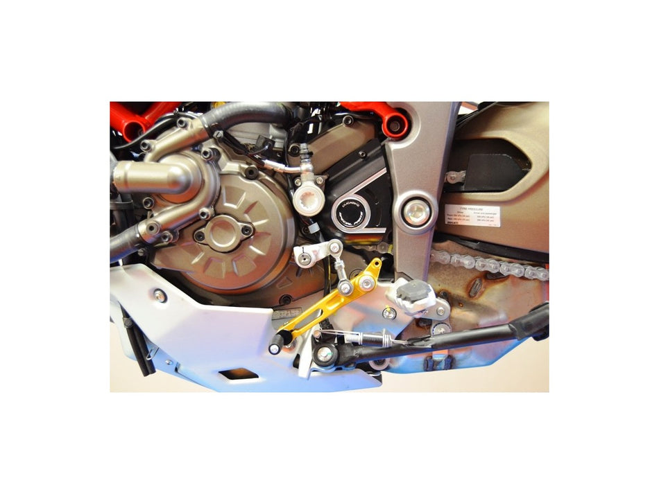 RPPUN09 - REVERSE SHIFT MTS MY 2015 - DBK Special Parts - 2