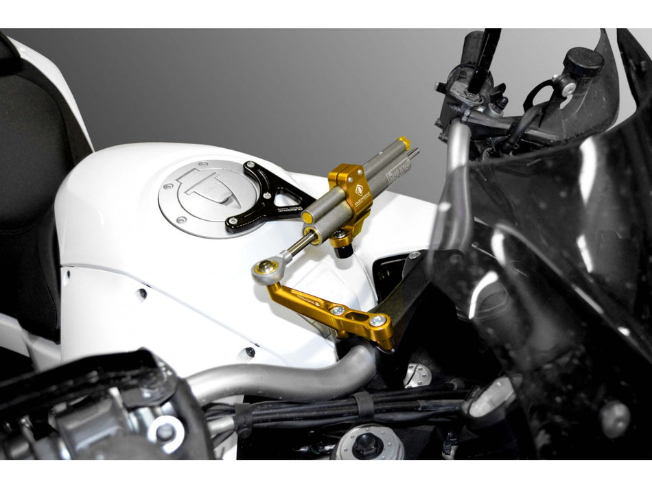 SAS11 - MTS MY10/11 KIT MOUNT STEERING DAMPER - DBK Special Parts - 11