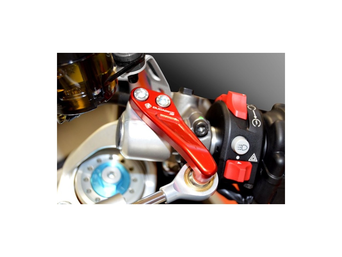 SAS12 - SS MY2017 KIT MOUNT STEERING DAMPER - DBK Special Parts - 5